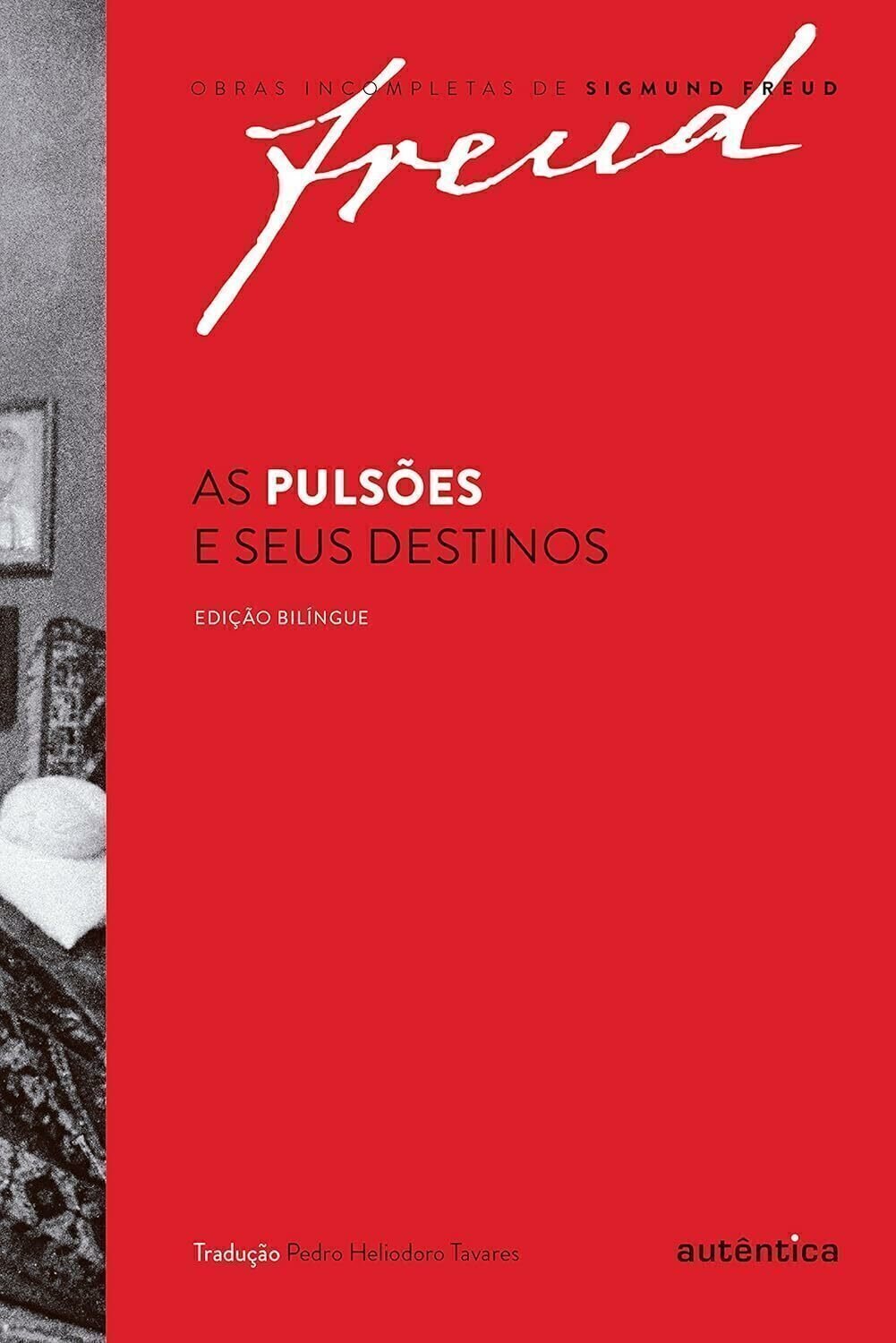 Imagem de AS PULSÕES E SEUS DESTINOS EDIÇÃO BILÍNGUE